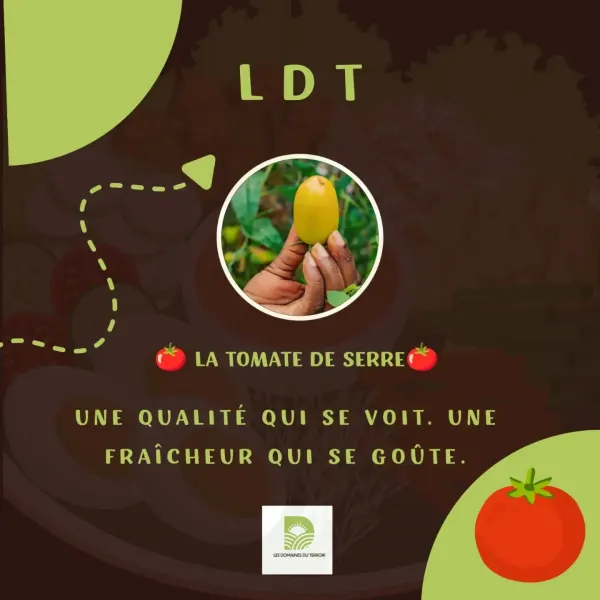 Post Instagram Les Domaines du Terroir