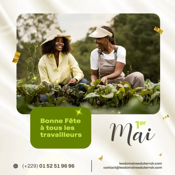 Post Instagram Les Domaines du Terroir