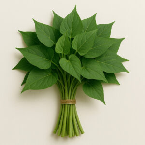 Feuille patate douce