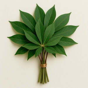 Feuille de manioc