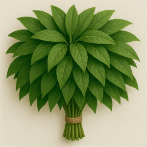 Feuilles de kinkéliba