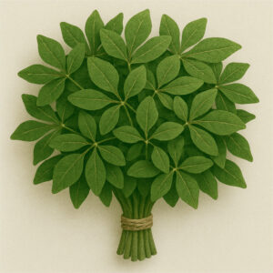 Feuilles de baobab