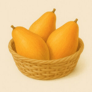 Mangue gouverneur