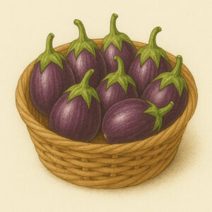 Aubergine violette